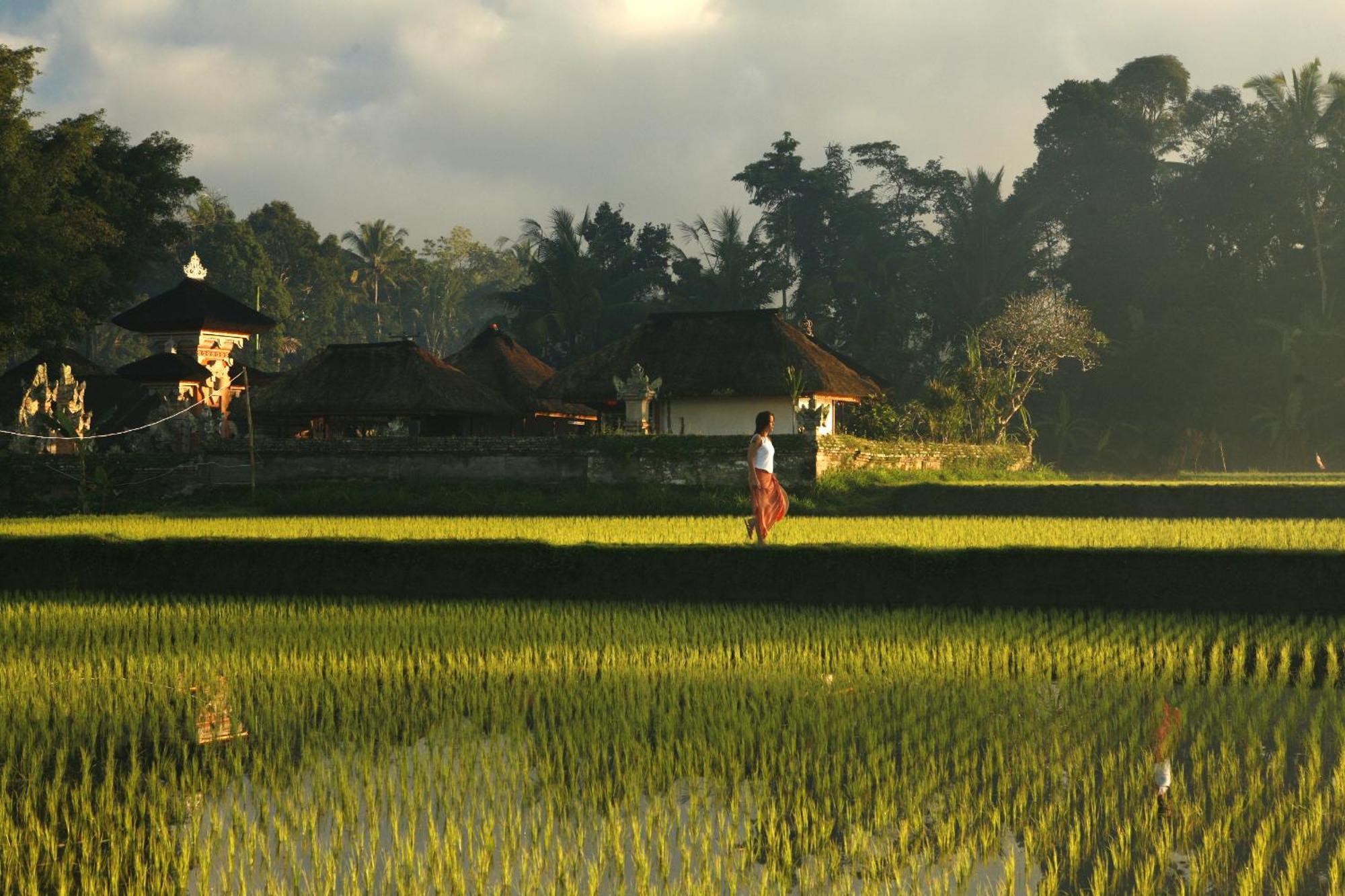 Kayumanis Ubud Private Villas & Spa Facilidades foto